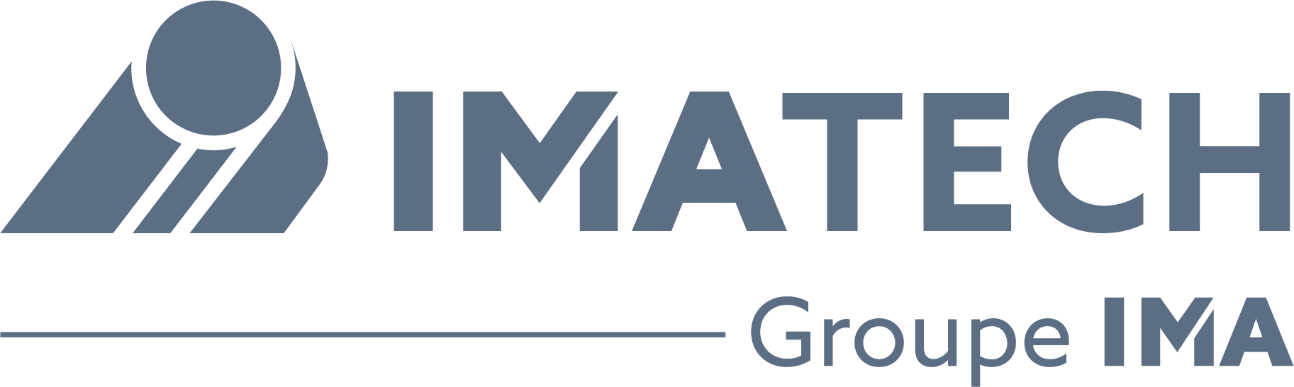 logo IMATECH gris